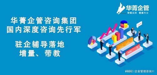 卓越跨境電商企業(yè)的戰(zhàn)略導航者——頂尖咨詢管理機構全解析